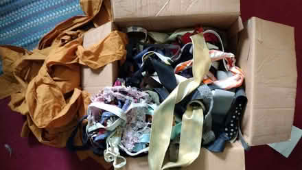 Photo of free belts, sashes, tie-ups etc (West Marina TN38) #2