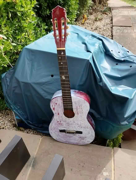 Photo of free Guitar (Hastings TN35) #1