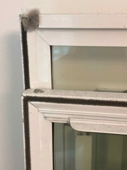 Photo of free Double glazed glass panels (York YO26) #4