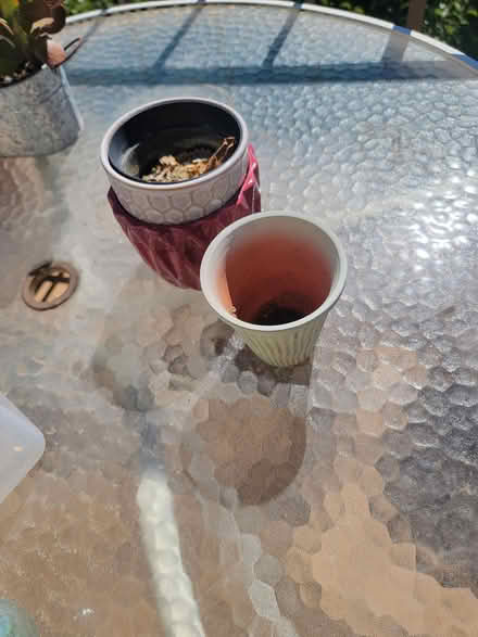 Photo of free Gardening Pots (San Rafael) #1