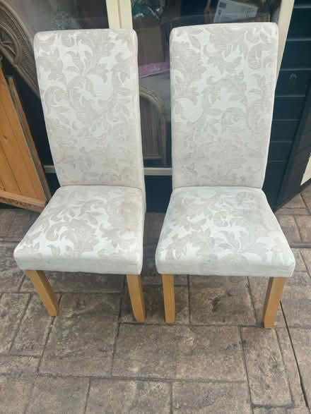 Photo of free Dining room chairs (Yaxley) #1
