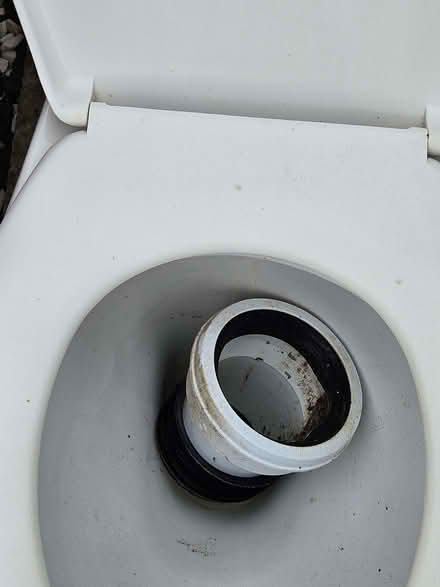Photo of free Back to wall toilet (Church RG2) #2