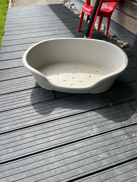 Photo of free Hard dog bed (Seven springs) #1