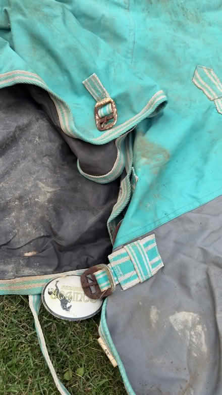 Photo of free Horse turnout rugs (Bassingbourn, SG8) #2