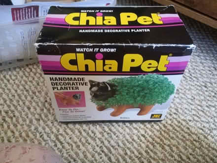 Photo of free Chia pet (7531 rising sun avenue) #1