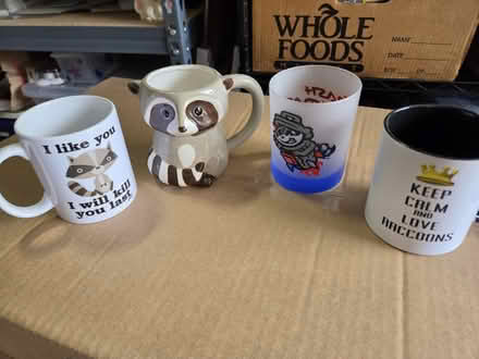 Photo of free Raccoon themed mugs (North Sunnyvale) #1