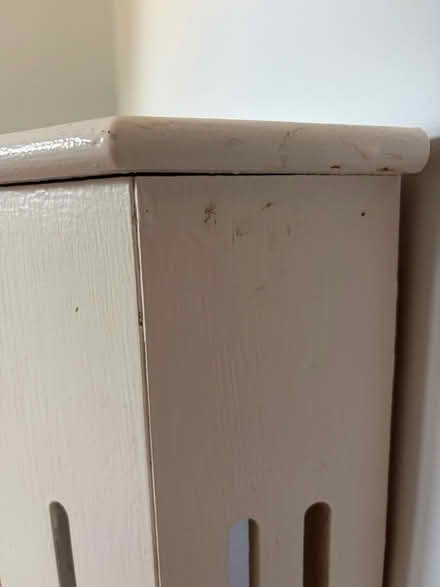 Photo of free Radiator cover (Hall grove AL7) #4
