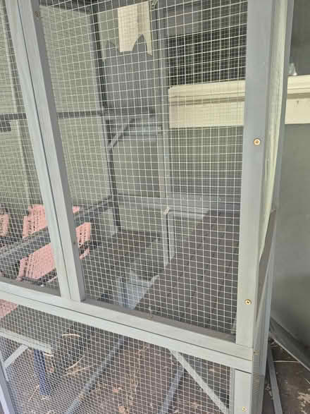 Photo of free Catio for rescue group (Denver University Hills) #3