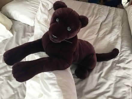 Photo of free Plush cuddly puma (Earlswood RH1) #1