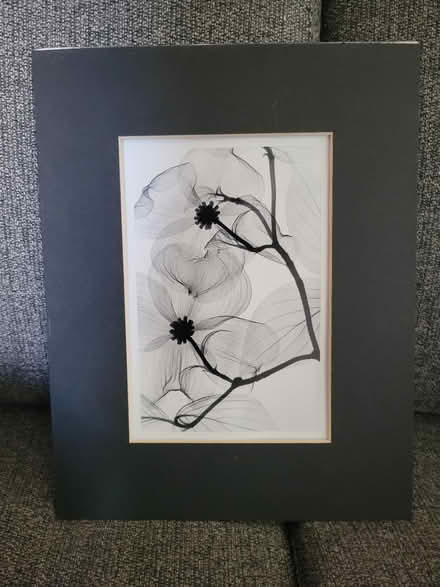 Photo of free Art print (98408) #1
