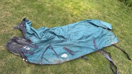 Photo of free Horse turnout rugs (Bassingbourn, SG8) #2