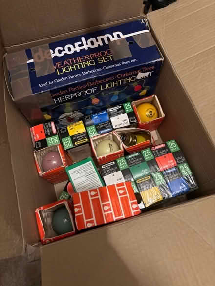 Photo of free Coloured lighting set and bulbs (outside) (Blean CT2) #2
