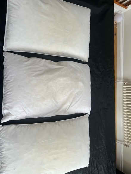 Photo of free Feather pillows (Weston Park BA1) #1
