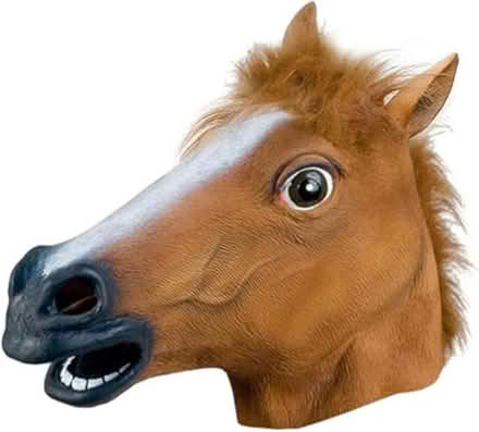Photo of Horse head mask (Moreton CH46) #1