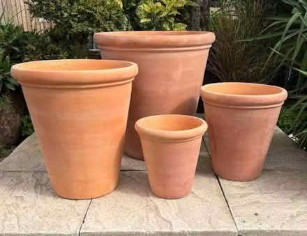 Photo of Plant pots (London Rd Station area BN1) #1