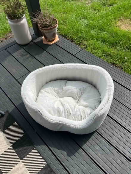 Photo of free Soft dog bed (Seven springs) #1