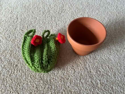 Photo of free Crochet ‘cactus’ in a mini terracotta pot (Cookham SL6) #3