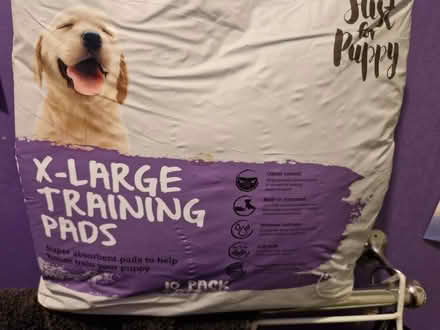 Photo of free 10 XL puppy training pads (Wigmore HR6) #1