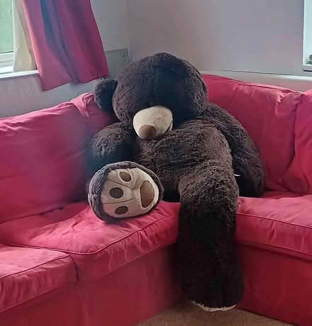 Photo of free Giant Teddy Bear (Moor Allerton LS17) #1