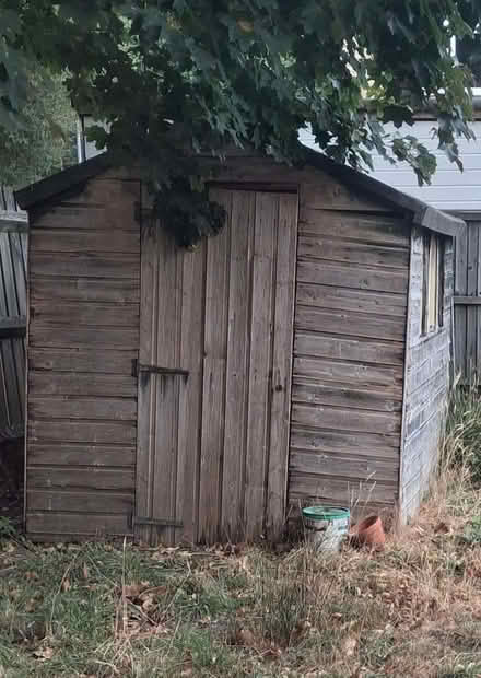 Photo of free Old shed for Firewood (Crown Wood RG12) #1