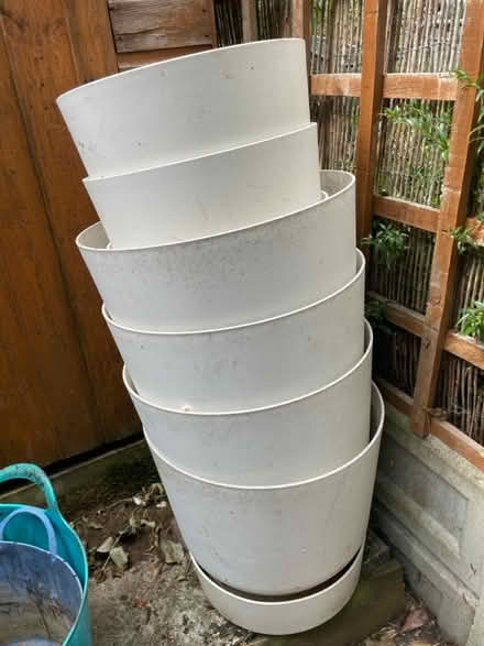 Photo of free Large plant pots (Ware SG12) #1