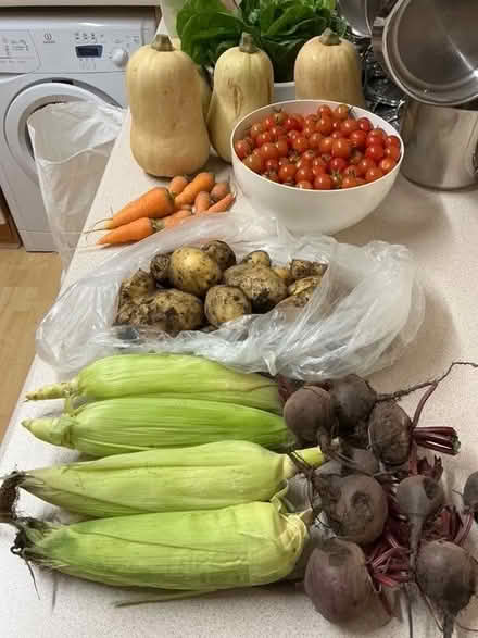Photo of free Surplus organically grown, freshly picked garden produce. (Hyde Park LS6) #2