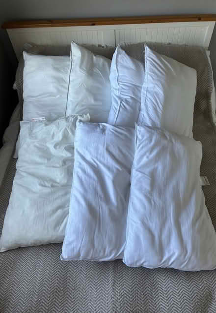 Photo of free Seven bed pillows (Chaulden HP1) #1