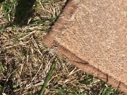 Photo of free Edged beige carpet (Kidlington OX5) #2