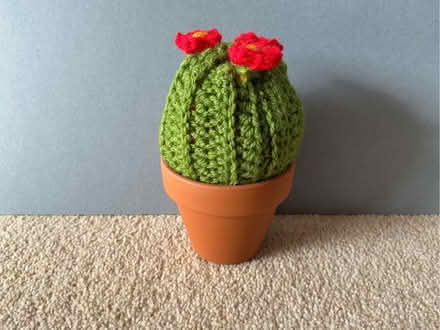 Photo of free Crochet ‘cactus’ in a mini terracotta pot (Cookham SL6) #1