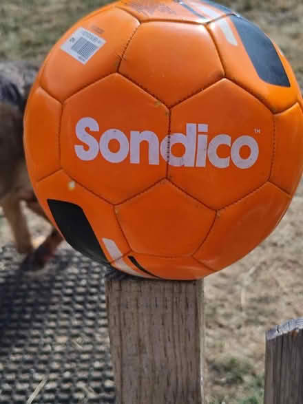 Photo of free Football, size 5 (Clewer Green SL4) #1