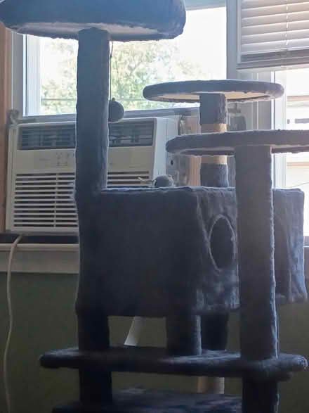 Photo of free Cat tree (7531 rising sun avenue) #1