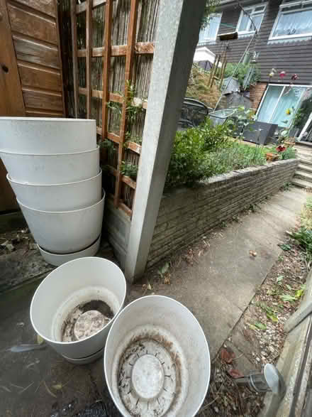 Photo of free Large plant pots (Ware SG12) #2