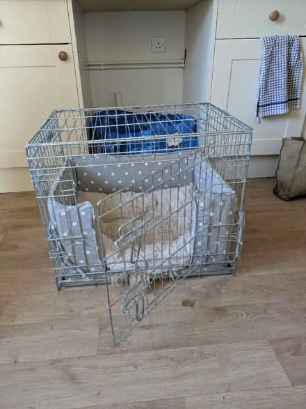 Photo of free Small dog crate and bed (Fairford GL7) #1