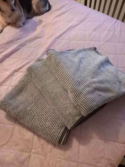 Photo of free Towels (New cross SE14) #2