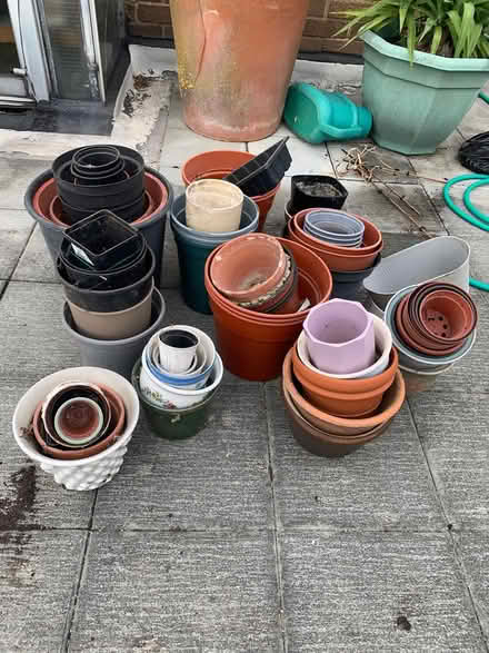 Photo of free Gardening things (East Finchley N2 0NX) #2