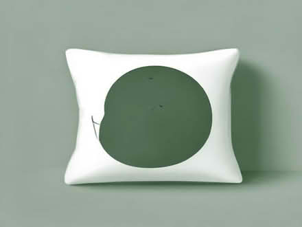 Photo of free 2 Pillows (Lambridge BA1) #1