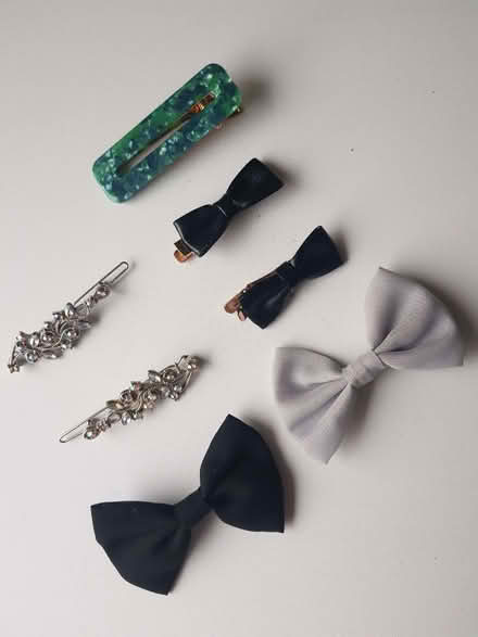 Photo of free Hairslides (Kendal LA9) #1