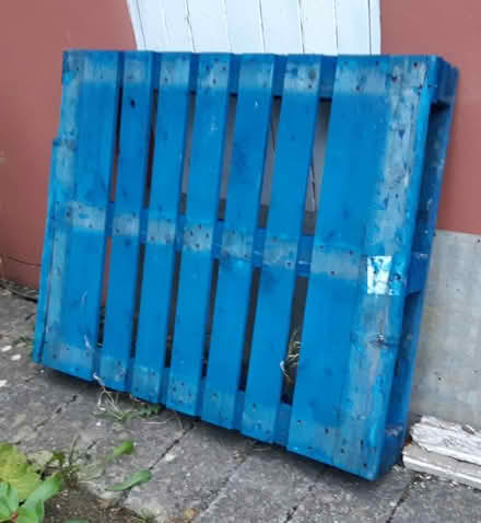 Photo of free Blue Pallet (Bristol, BS7) #1