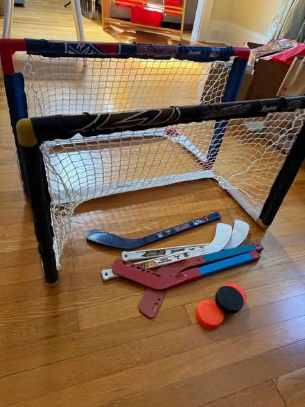 Photo of free Indoor hockey/basketball (Scarsdale (by Hartsdale)) #2