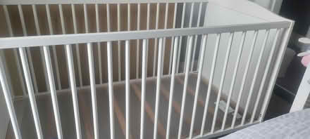 Photo of free Cot (Rathmines) #1