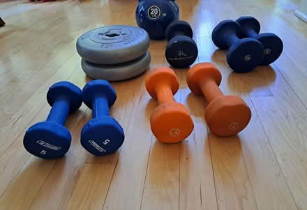 Photo of free assorted weights (winnetka) #2