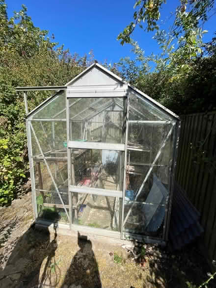 Photo of free Greenhouse (St Leonards TN38) #2