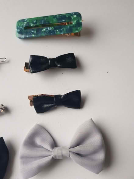 Photo of free Hairslides (Kendal LA9) #3