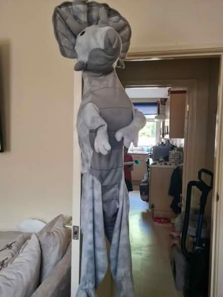 Photo of free Dinosaur costume (NG15) #1