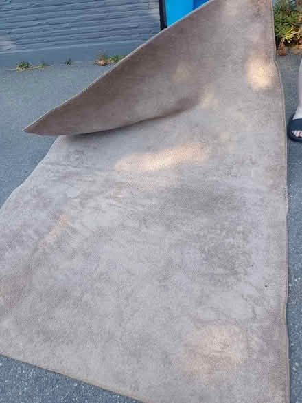 Photo of free Rug (Shoreline) #3