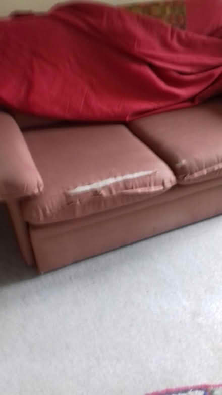Photo of free sofa bed (Pontesbury SY5 0TN) #3