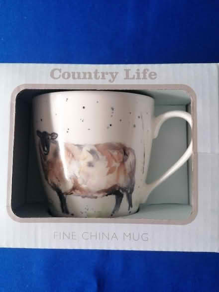 Photo of free The Country Life Collection Mug (Presteigne LD8) #1