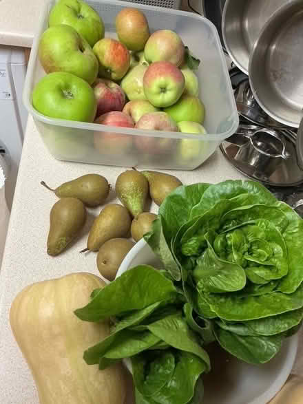 Photo of free Surplus organically grown, freshly picked garden produce. (Hyde Park LS6) #1