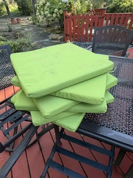 Photo of free Miscellaneous Items (In Parole, off Riva Road) #3