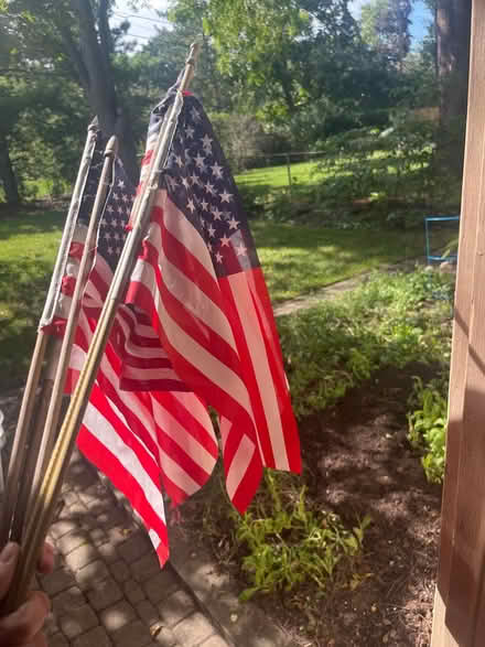 Photo of free Various American flags (Royal Oak, MI) #1